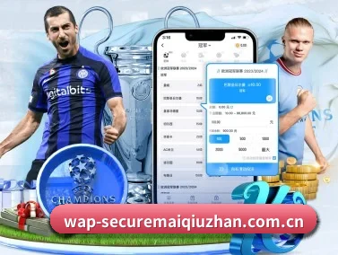 买球站官网 APP